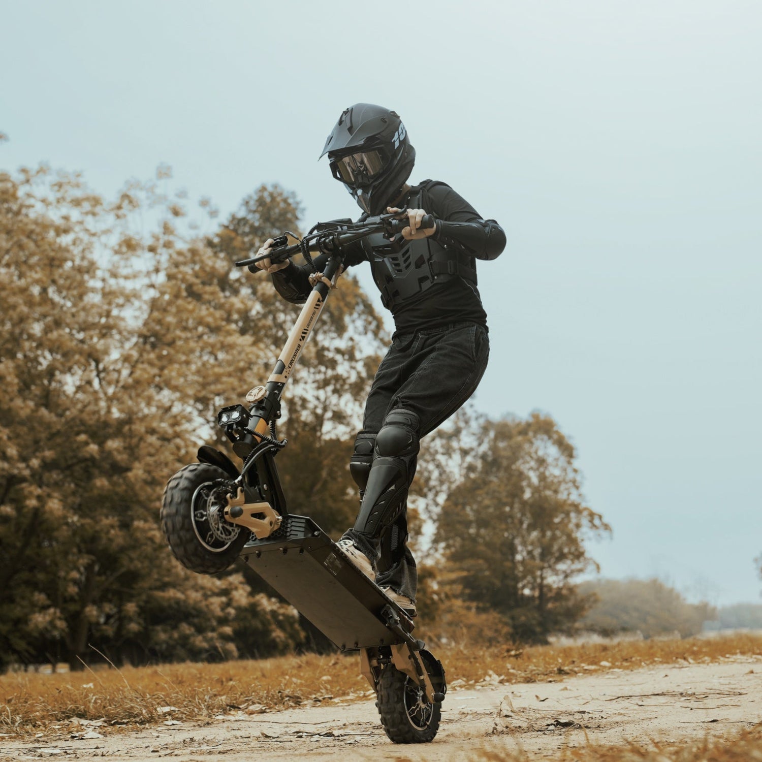 Circooter E-Scooters vs. GOTRAX