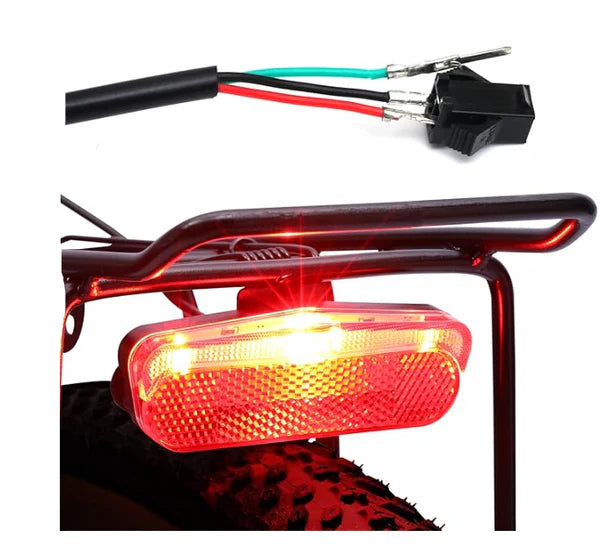 Rear Tail Lights