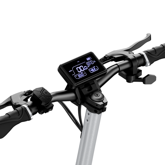 Circooter Off Road Electric Scooter(1600W)
