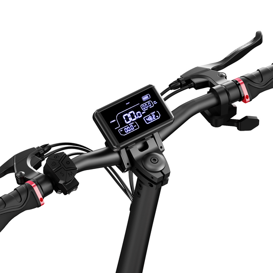 Circooter Off Road Electric Scooter (800W)